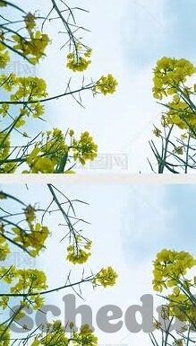 免费足球比分预测推荐-解锁免费足球比分预测推荐，智慧与机遇的双重盛宴