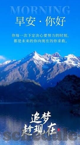 足球纯比分-足球纯比分，绿茵场上的数字密码，解码胜负之外的激情与智慧